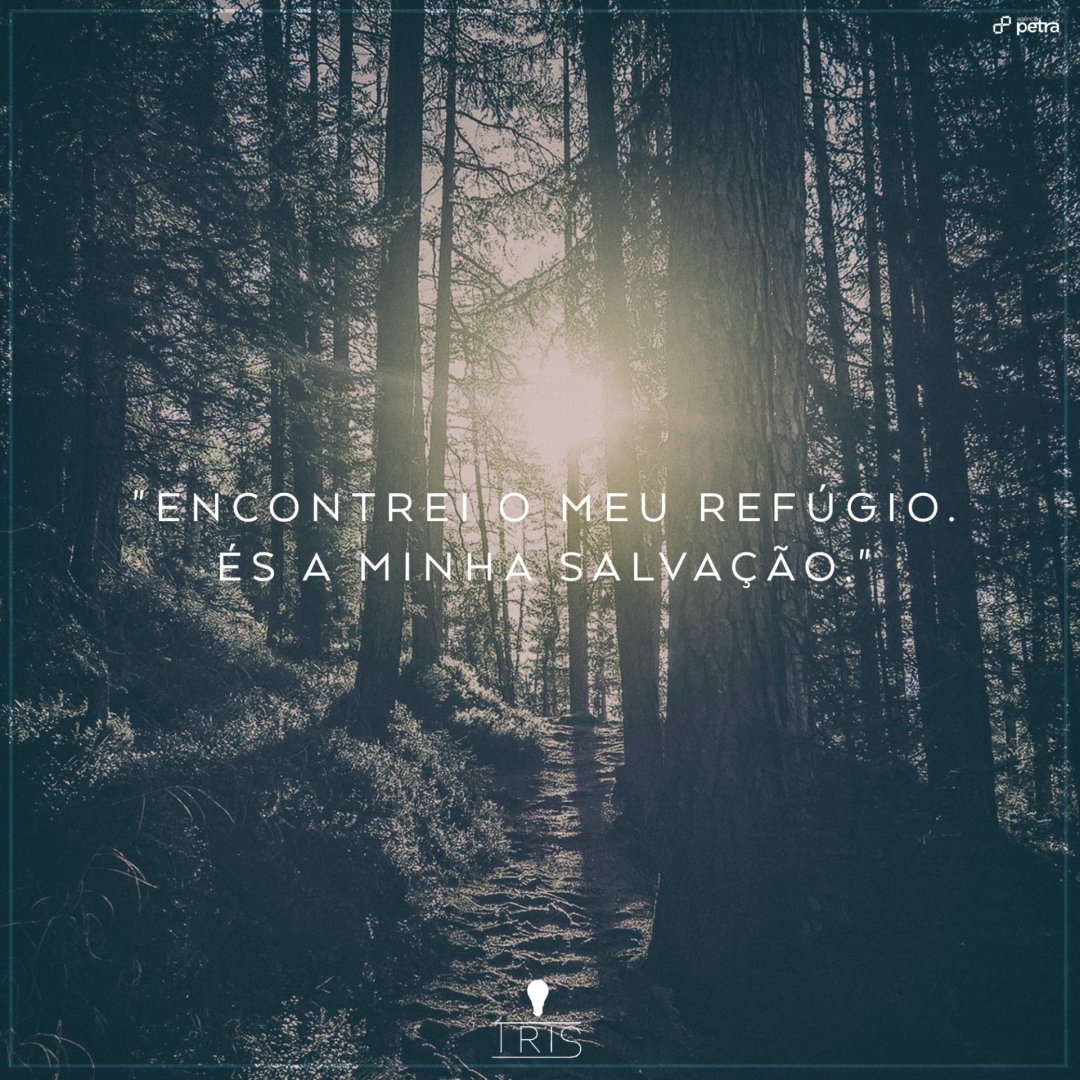 A cada dia me conforta saber que estás comigo, me protege, me ouve, me ama. Obrigada Pai! 🙏 #haveniceweek