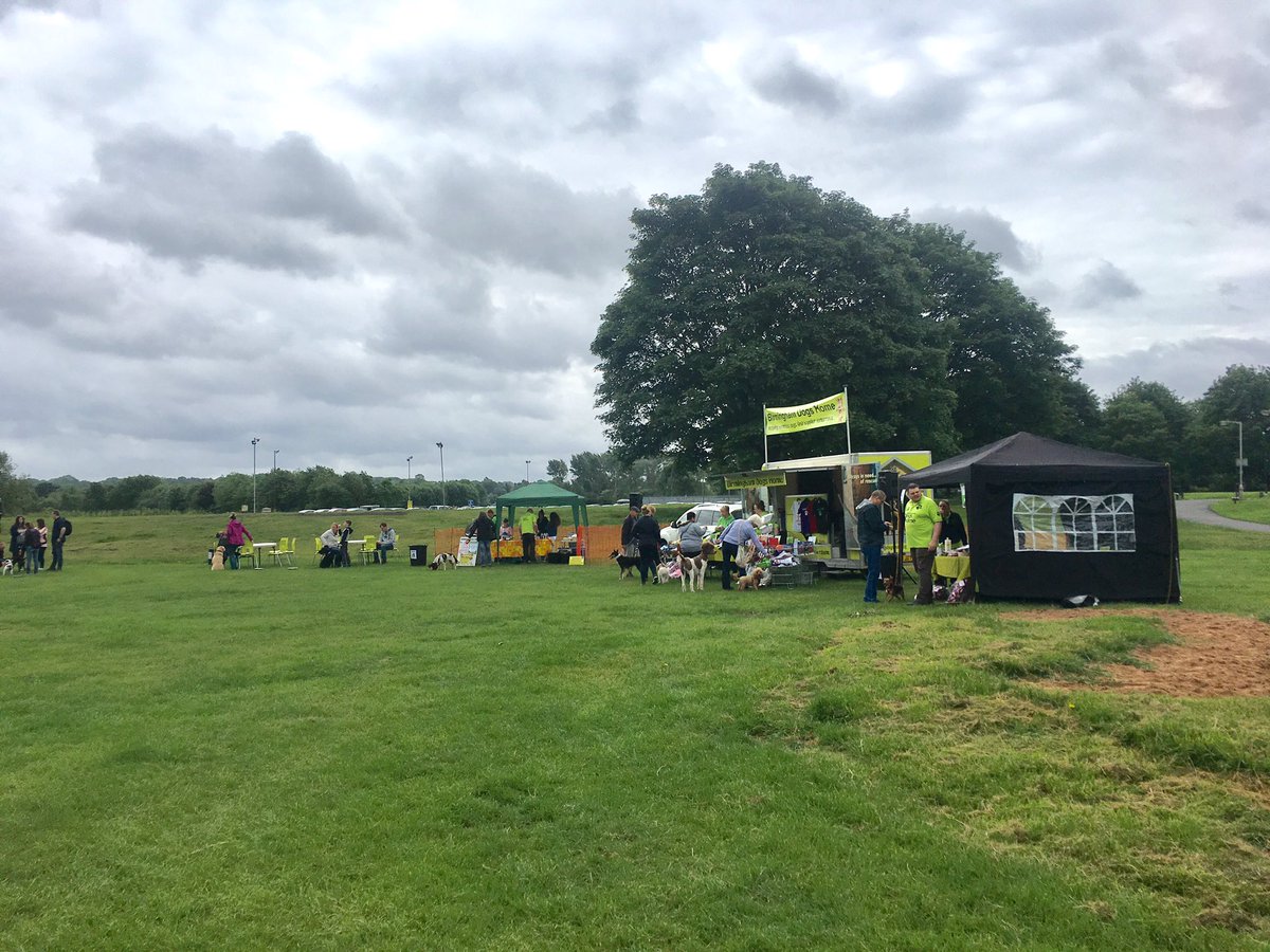 BhamDogsHome's tweet photo. Walk in the Park 2017 photos coming soon! Keep an eye on our social media pages tomorrow and our website too! #helpingstraydogs #rescuedogs https://t.co/FJM7nKN8OI