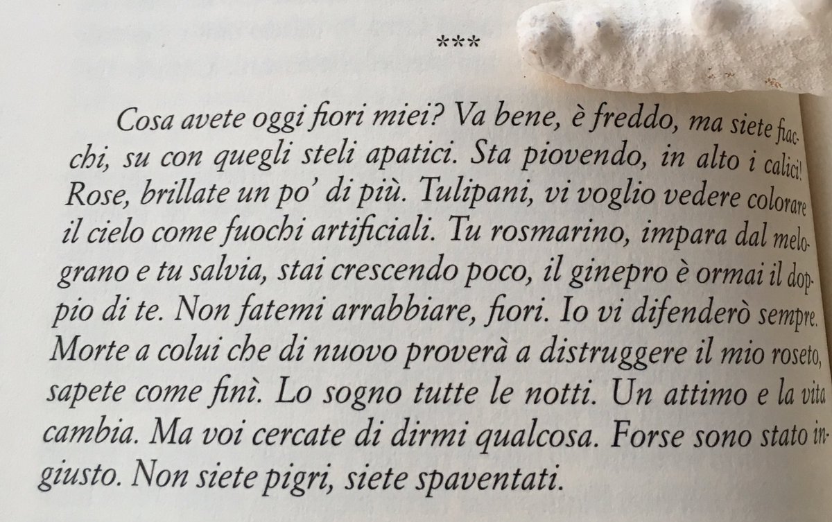 𝚕𝚢𝚌𝚒𝚊𝚖𝚎𝚕𝚎𝚕𝚒𝚐𝚒𝚘𝚜 Pa Twitter Un Attimo E La Vita Cambia S T E F A N O B E N N I Tra Vol Gen Te Siamo Sempre Un Po Piu Liberi Di Quanto Crediamo Sfogliounlibro T Co Huet7yavbt