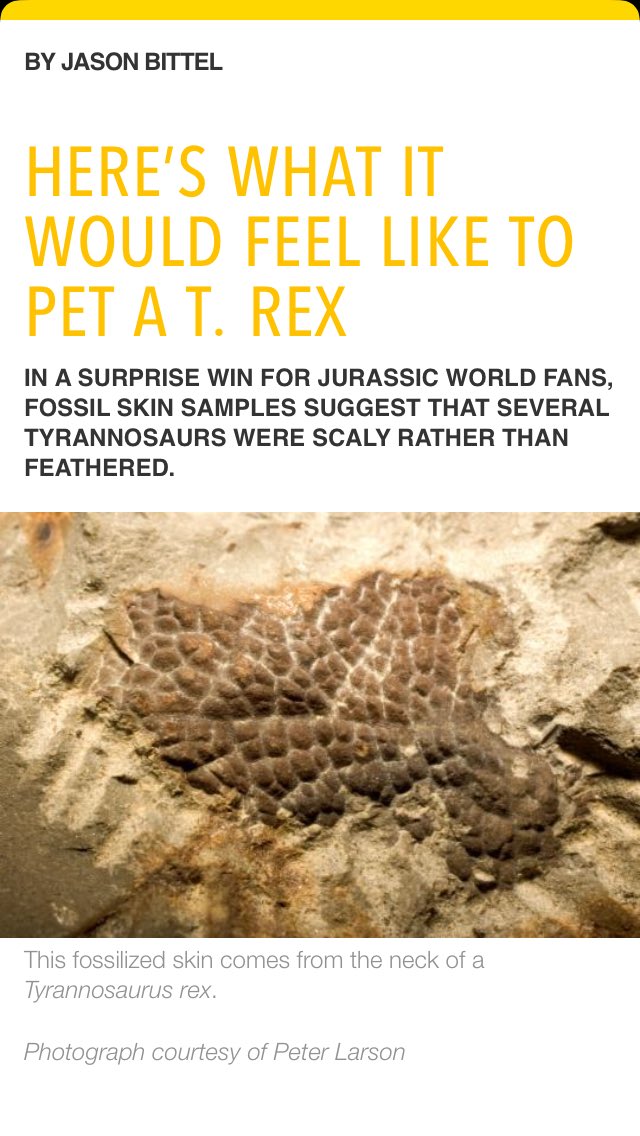 ShaunRoig's tweet photo. I've always said T-Rex had no "feathers" 🙄... Now the proof is in the pudding 😁!!! How bout dat? 😆🙌🏼 #FactsOnly #TyrantLizardKing 👑 https://t.co/fccwMFNkgC