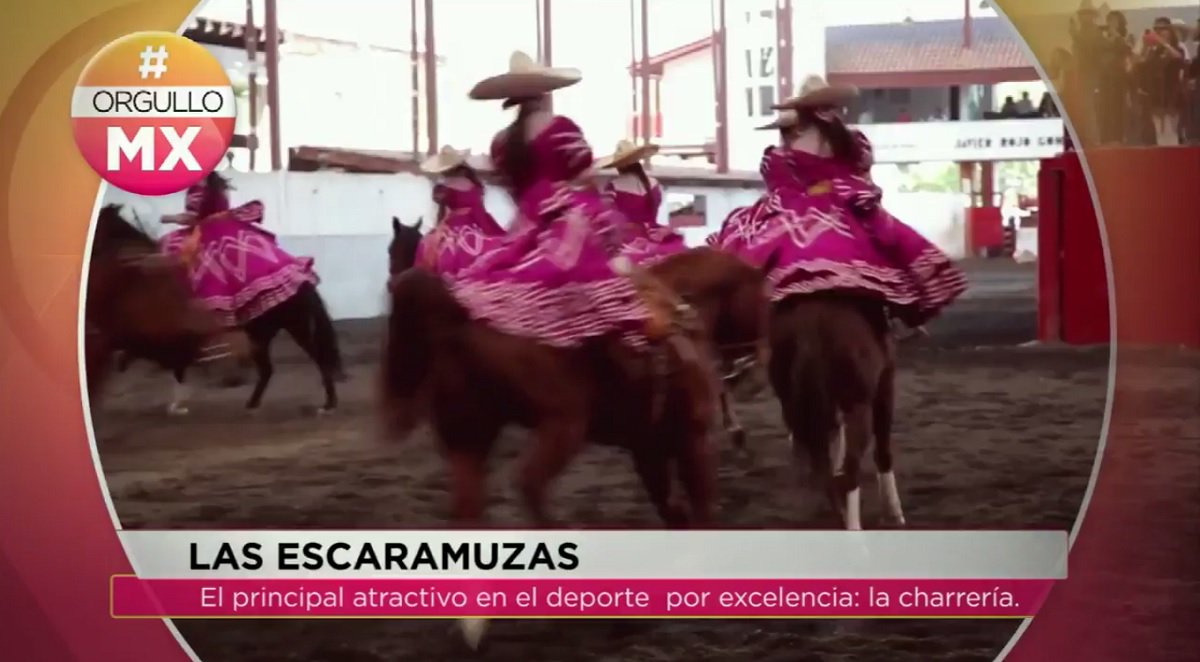 CapitalMexico's tweet photo. #VideosCapital La destreza de las escaramuzas sobre el caballo les ganó su gran popularidad https://t.co/arfloS1fuU https://t.co/sh5qOyKEzg