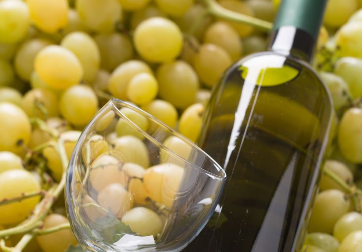 Vinosofos's tweet photo. Otra tarde en blanco #vino en vinosofos ... ¿Te apuntas?
https://t.co/J6lFivJEpK ? https://t.co/uJwkzvJNIG