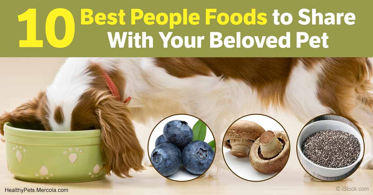 No5_Frome's tweet photo. 10 Best People Foods to Share With Your Beloved Pet https://t.co/aTDGKl35J8 https://t.co/lC63ApaaKk