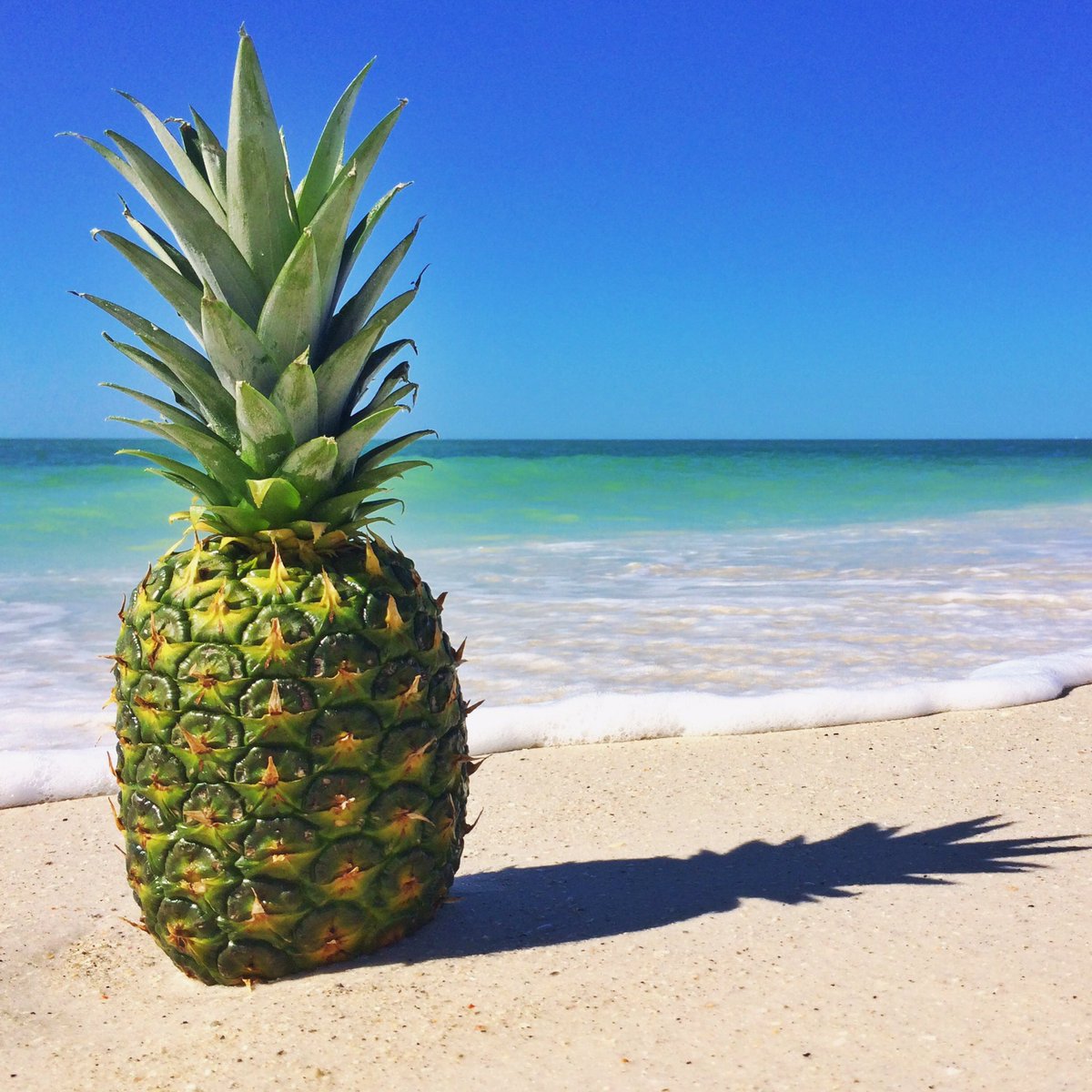 bareitall_'s tweet photo. GUESS WHAT!!!!! We have scented drops!!!! Hate the way you smell after a spray??? TRY OUR SCENTED DROPS!!!!!!!! #sjolietanning 🍍 https://t.co/bT024QtTD9