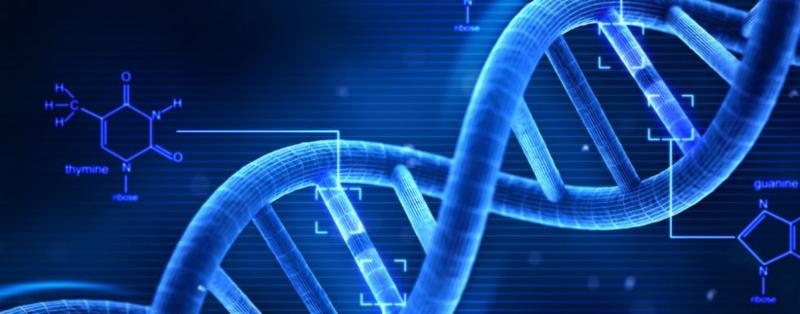 DigiDeena's tweet photo. Hold the date and plan to come for this ALL DAY DNA Event in Estes Park! https://t.co/KpR2dqP17V https://t.co/1bYlRK9cpb