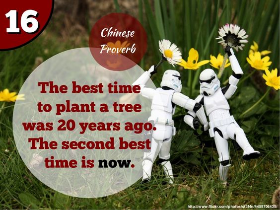 Jedi_Jobe's tweet photo. #MadeMeSmile when I saw this #proverb AND it had some #stormtroopers too!
😀 https://t.co/Y8OBd5niwd