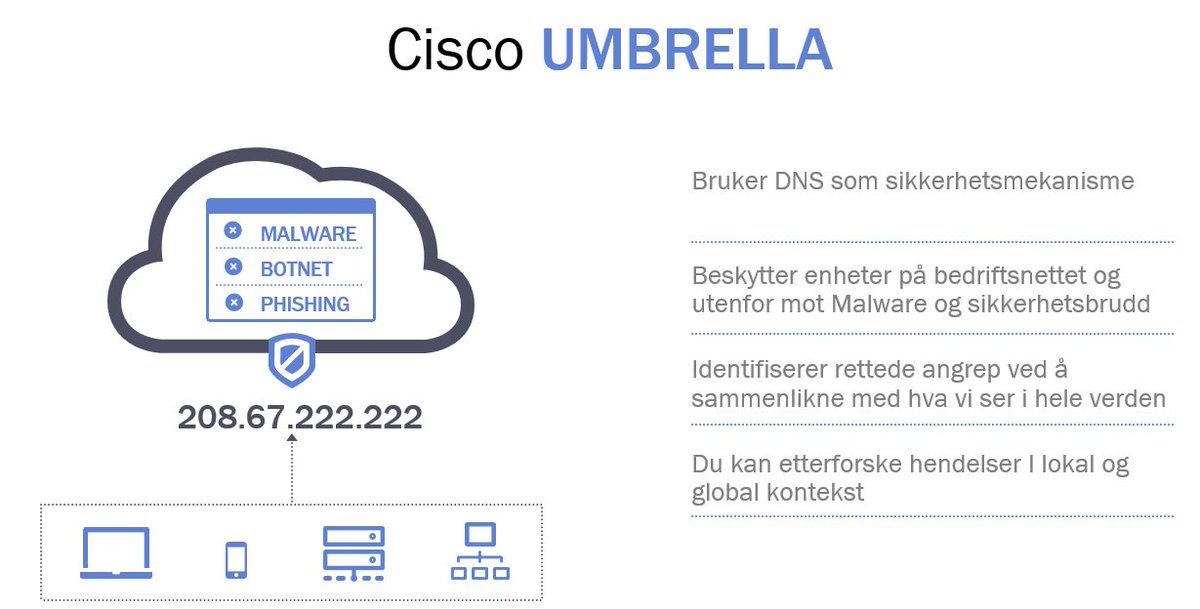 Hans-Petter Normann tweet media