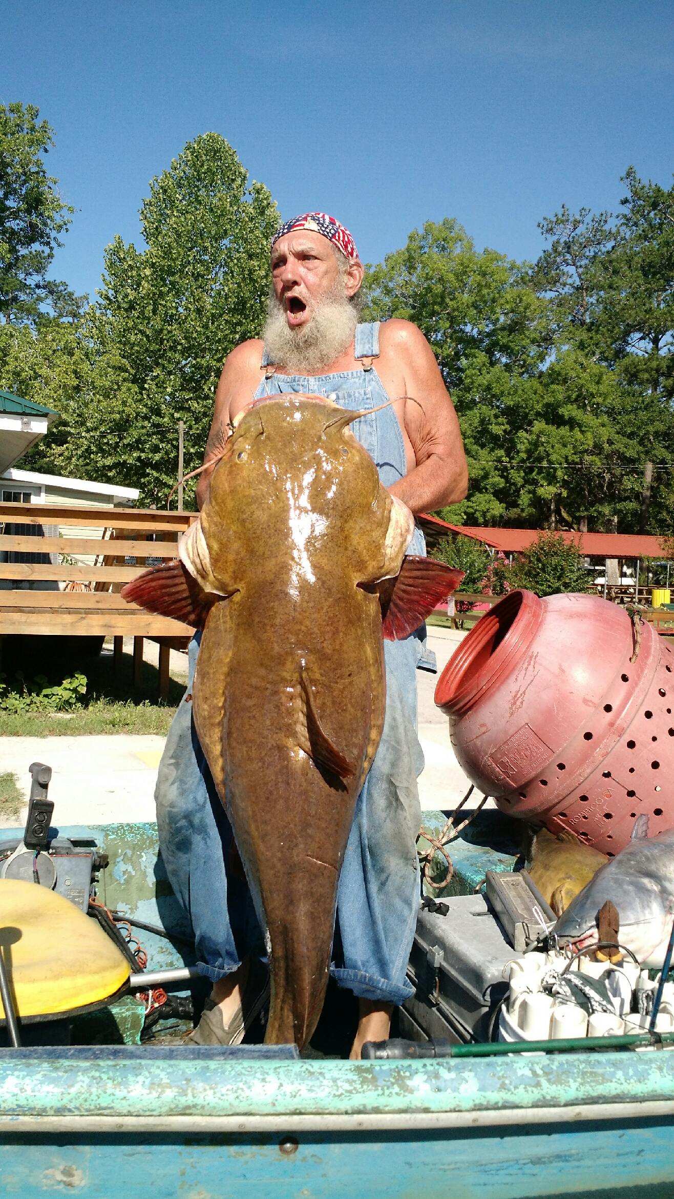 Georgia DNR Wildlife on X: Garry Harrell of @CityofDouglasGA caught this  101lb Altamaha River flathead catfish on a limb line on June 9. #monster # fishing #fishfry  / X