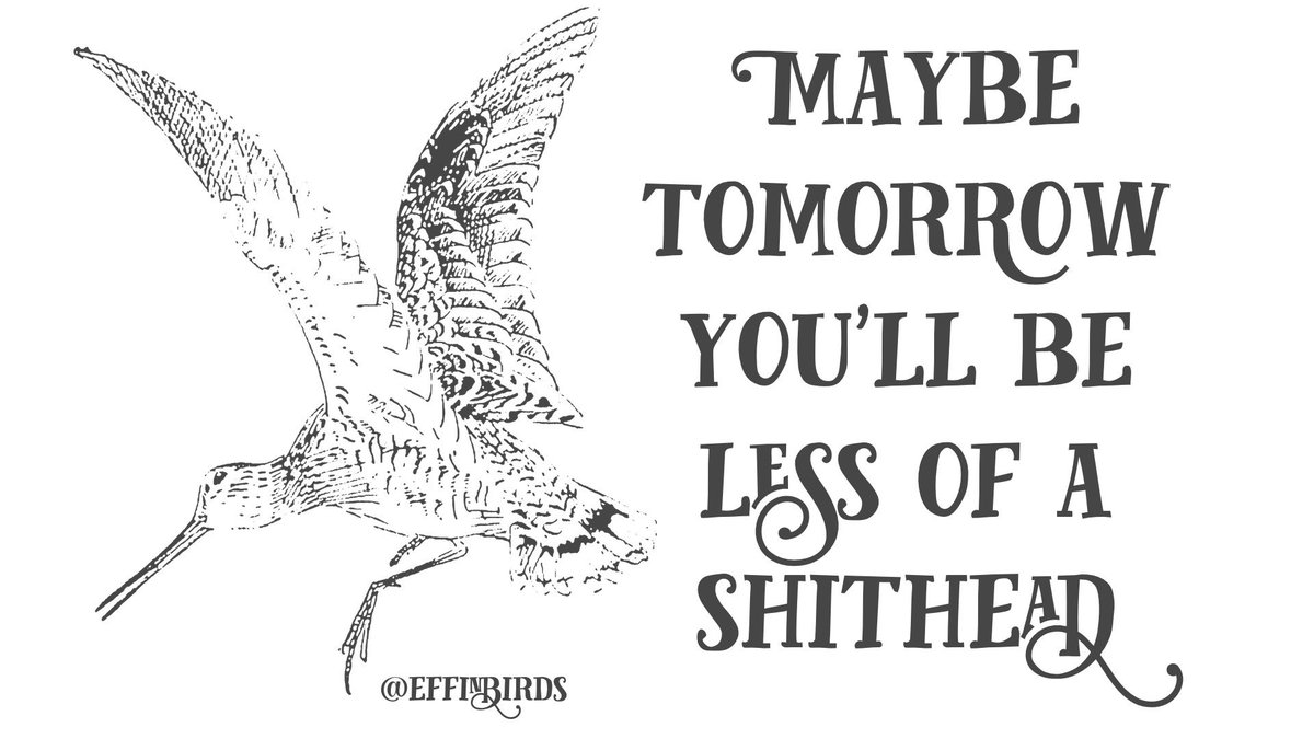 EffinBirds's tweet photo. https://t.co/FooNUndJDa