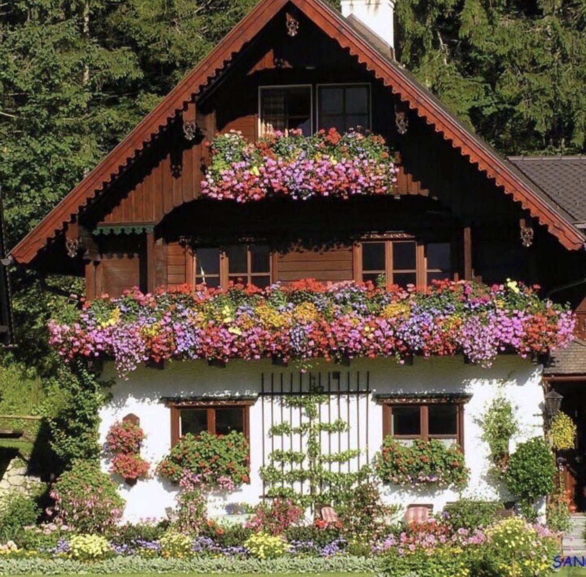 "Yaprak döker bir yanımız bir yanımız bahar bahçe. "