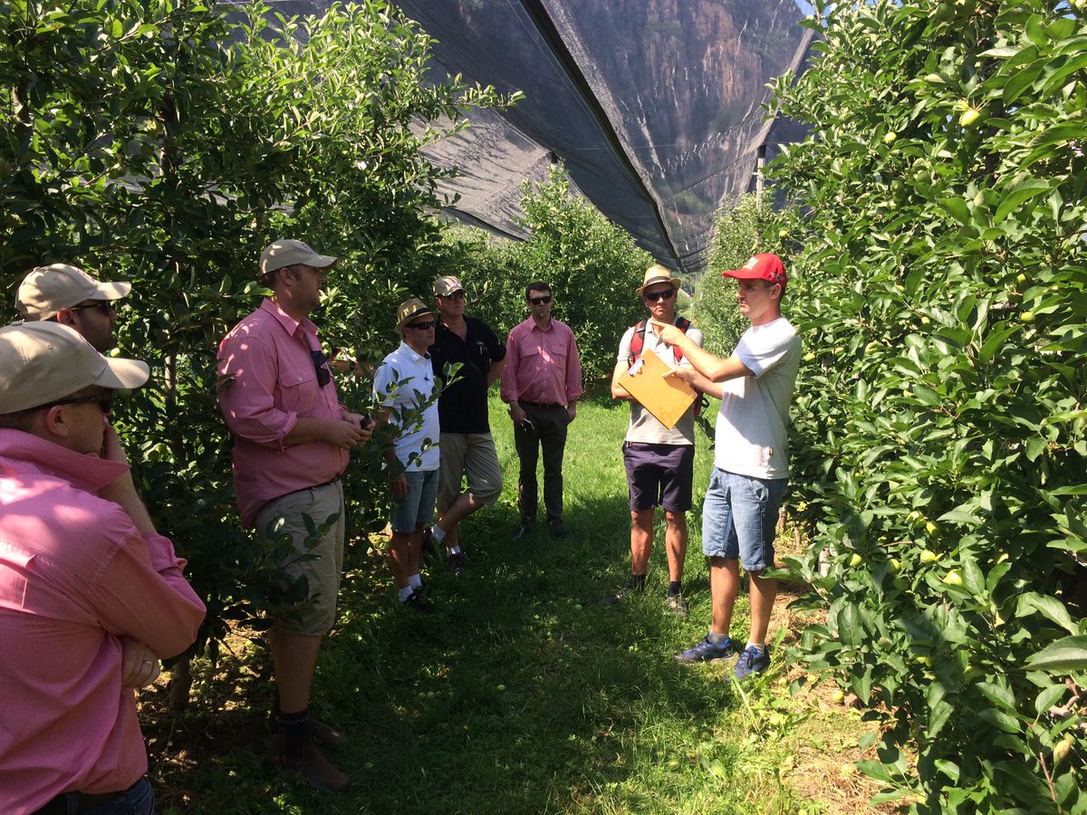DesiToohey's tweet photo. Looking at PGR trials in Apples, Verona Italy. #EuropeStudyTour #PGR's https://t.co/FUeFZIUTDs
