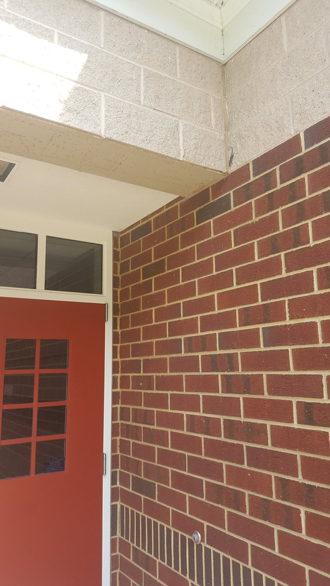 The summer residents have already started moving in. #thereallizardsofhouseA