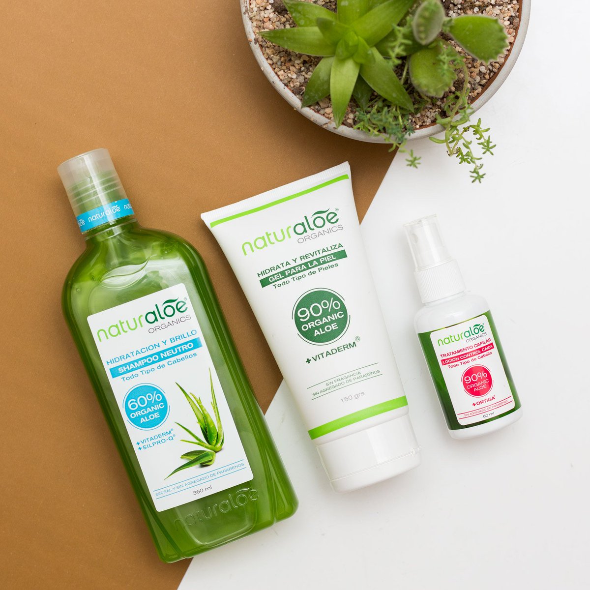 guiadelabelleza's tweet photo. Opciones de #Naturaloe, cosmética natural para los papás preocupados por la caída del pelo: https://t.co/hyvJIyACAS - #DiaDelPadre https://t.co/3j7P8fzEYD