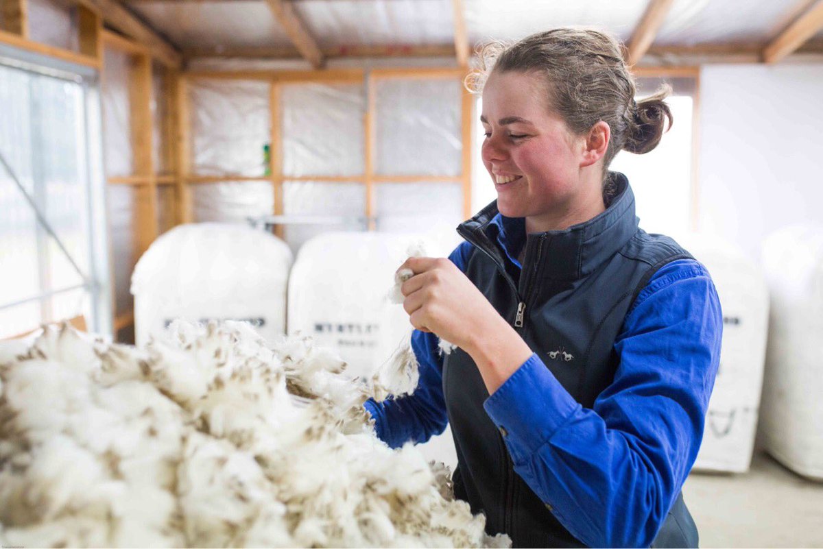 Matilda Scott - lover of all things sheep & animal science. Future merino stud breeder. 
#thetruthaboutwool #wool #sheep365 @woolinnovation