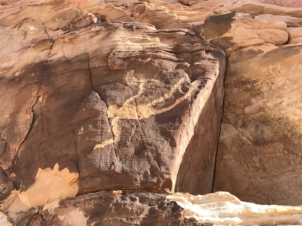 sallyjewell's tweet photo. Any recommendations to gut thoughtfully created national monuments by exec action are very troubling. Please stay engaged! #MonumentsForAll https://t.co/eat03JgUGz