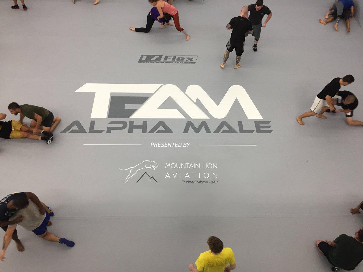 mtnlionaviation's tweet photo. Mountain Lion Aviation is proud to announce a partnership w/@TeamAlphaMale
as their presenting sponsor!Press release https://t.co/YIsmIceVvC https://t.co/ySHJ2odsaM