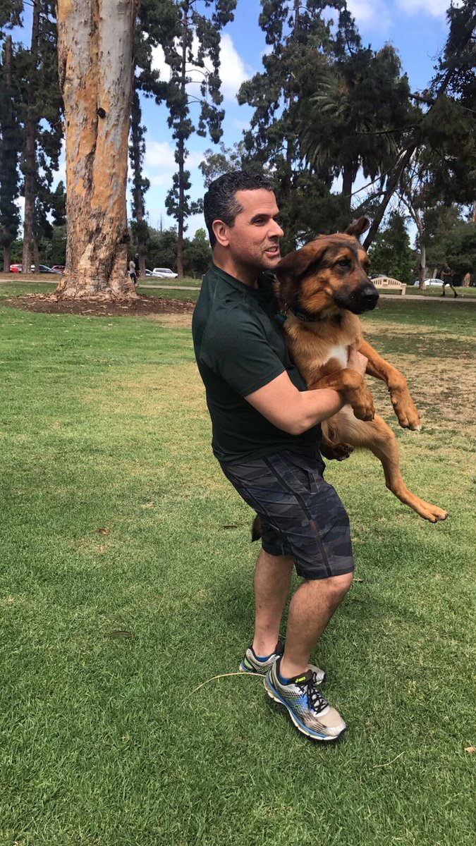 marcoregil's tweet photo. ¿Quien adoptó a quien? #adoptanoccompres 😃💜🐶 Who adopted who? #adoptdontshop https://t.co/CcM2A7hs6A