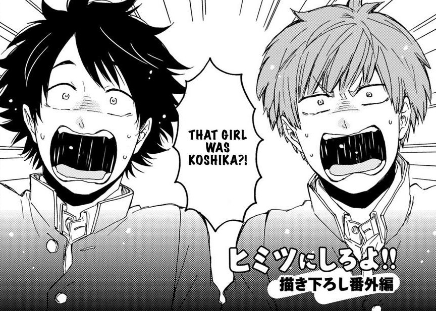 Himitsu ni shiro yo!!