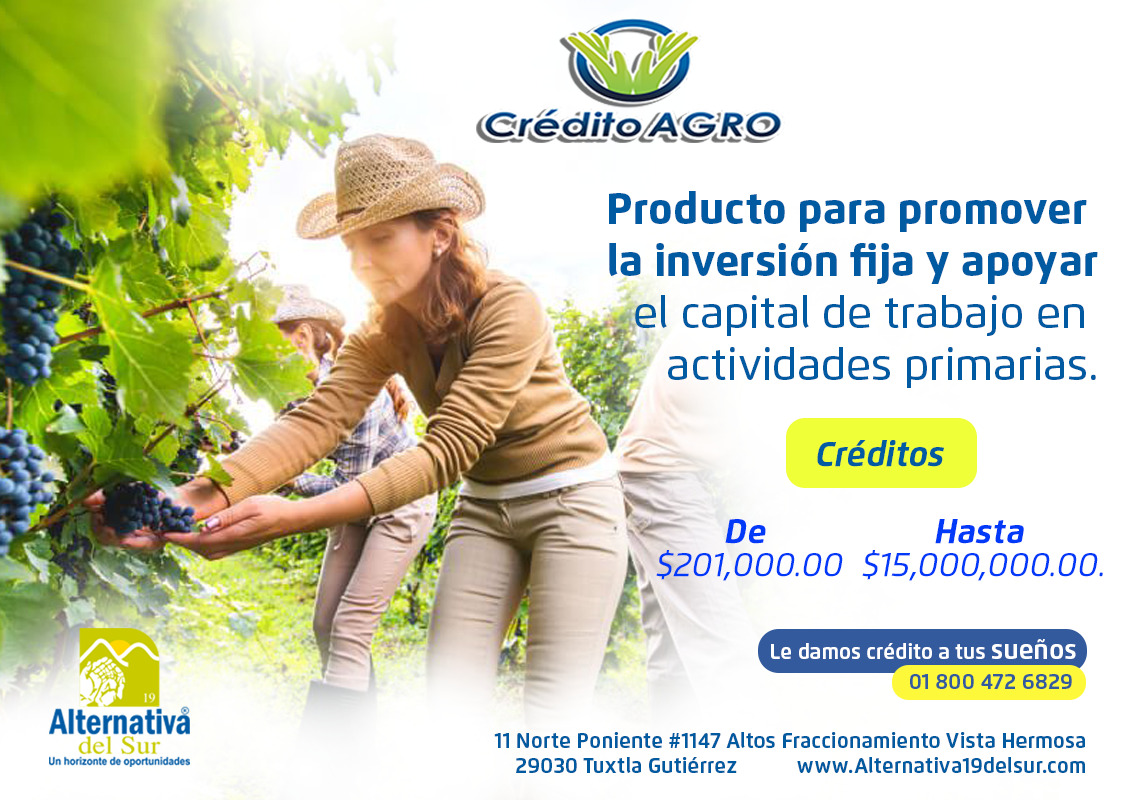 alter19delsur's tweet photo. #CréditoAgro

Le damos #Crédito a tus #Sueños

#MiAlternatva https://t.co/oXFpreZnxV