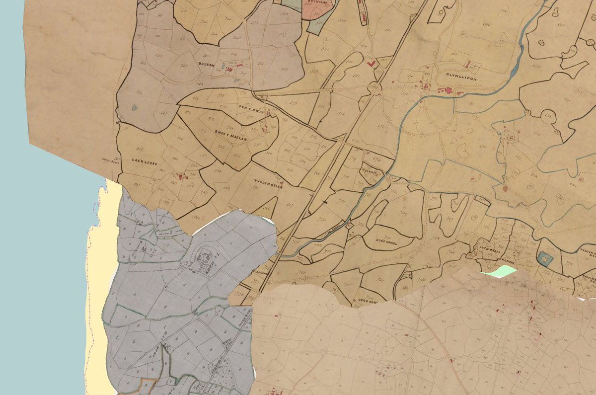 Illtud Daniel tweet media