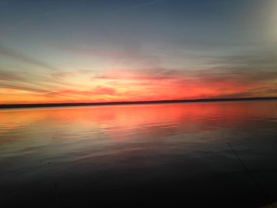 santeecooper's tweet photo. Check out this amazing shot of the #SanteeCooperLakes our Facebook fan shared. Thanks Brandon! #LifeInSC https://t.co/Imx6q9CKOq https://t.co/U2hdbI0btP
