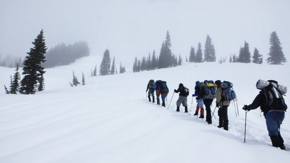 BayViewDocs's tweet image. #ANewHigh shows men and women in #Seattle coming together to escape homelessness &amp;amp; #DrugAddiction in a unique way #MustSee