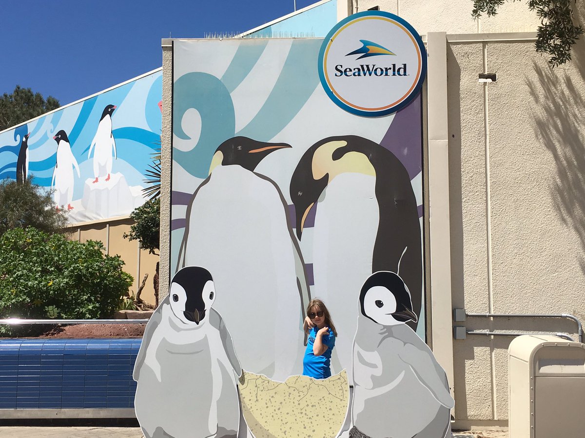 DavidTaubMedia's tweet image. Thinking of you @penguins while at @SeaWorld. Congratulations!