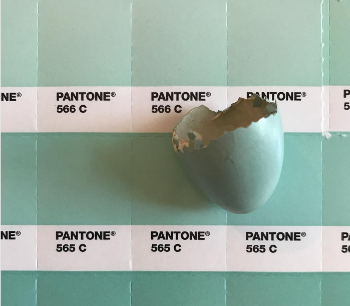 Starting our week with the perfect match. <a href="/pantone/">PANTONE</a> 565C #robinseggblue