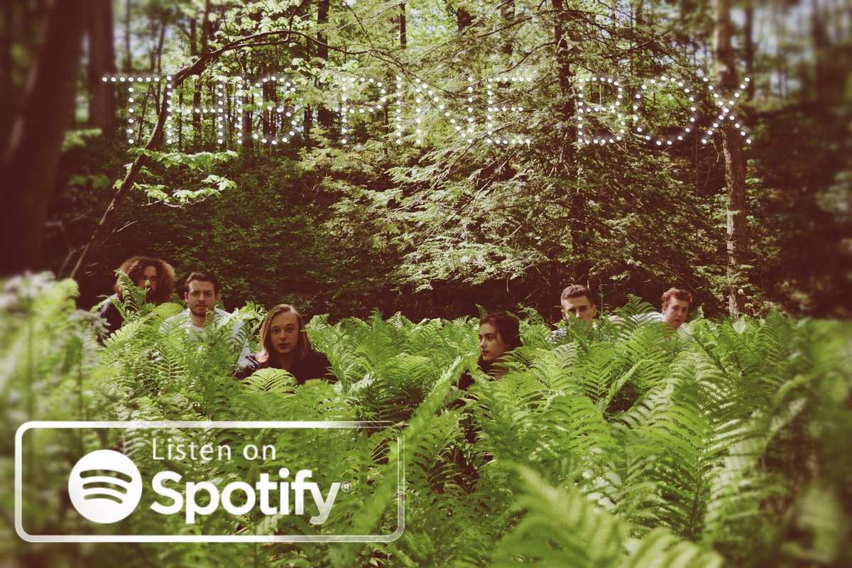 thispinebox's tweet photo. Have you heard us on Spotify? Let us know in the comments which song of ours is your favorite! 😃 #thispinebox https://t.co/cQ9LoZof8l