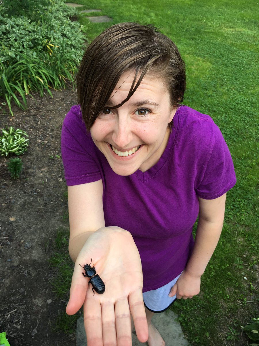 maddysreads's tweet photo. Found this cute bug yesterday. https://t.co/7dMLSPDrua