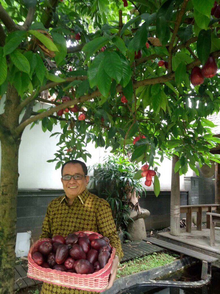 DivHumasCukong tweet picture