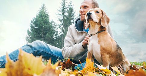 GlanVet's tweet photo. Prevention is the golden rule when it comes to keeping your dog free from tick-borne diseases. 8 and true tips >> https://t.co/SL908sp0iB https://t.co/H8K68EfkYl