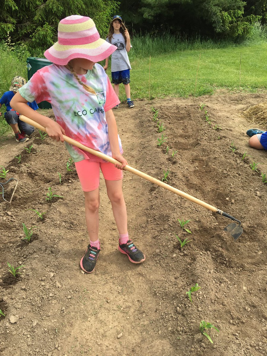 ÉÉ Quatre-Rivières tweet media