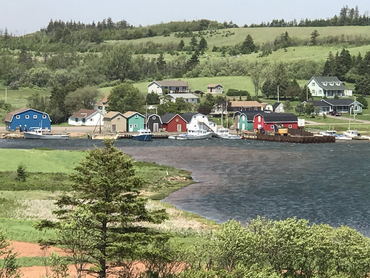 nchanpath's tweet photo. #CAPACP2017 #wupath beautiful PEI. https://t.co/xhimfmaHed