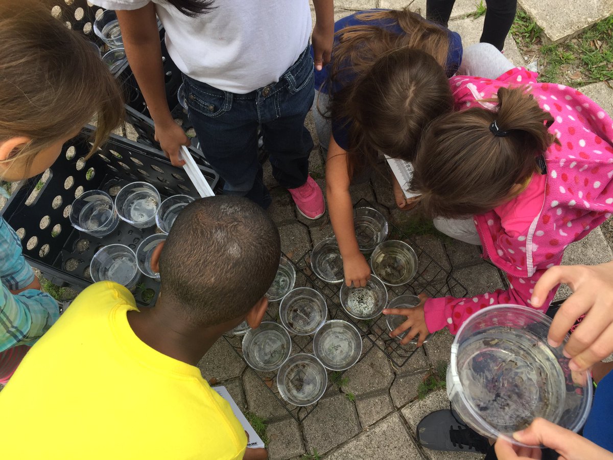 Beth Testa tweet media