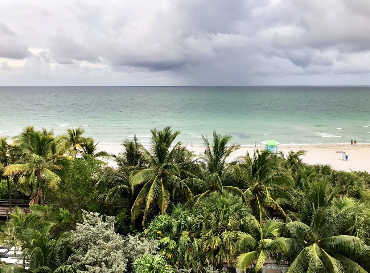 Status:  #Miami