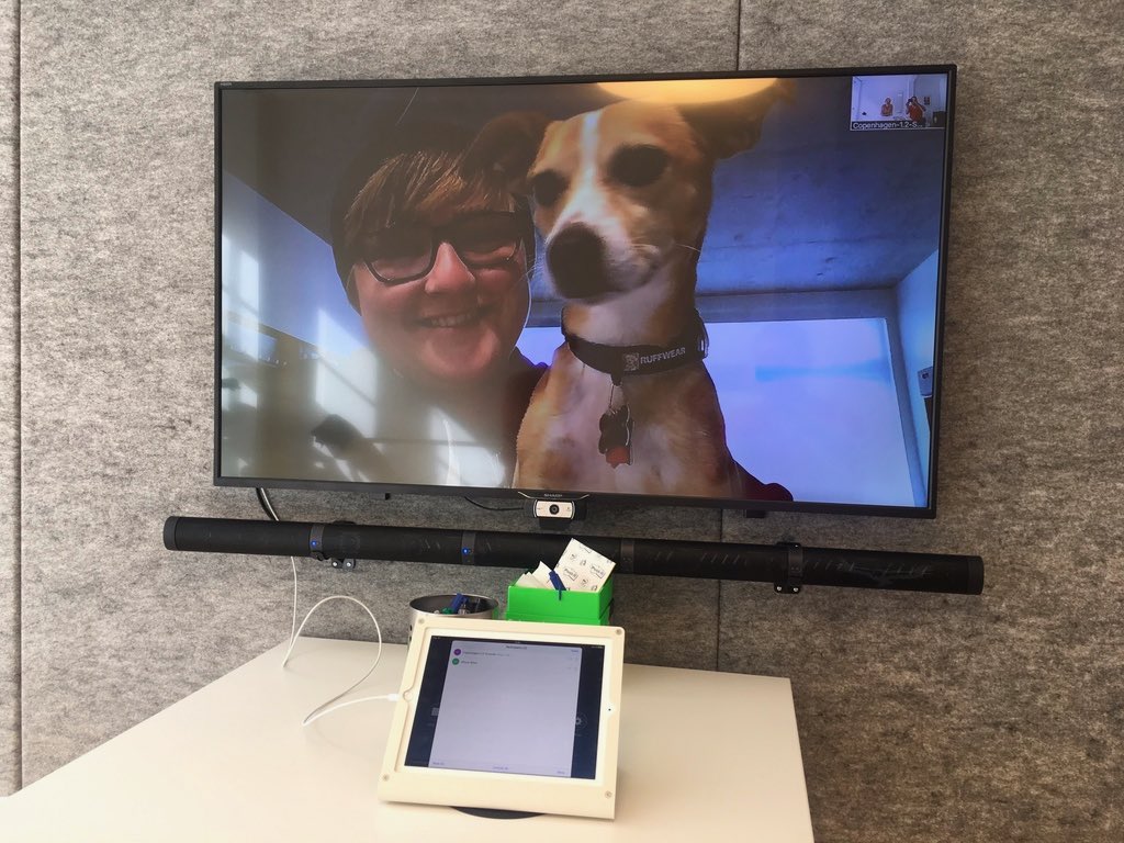 macshawthedog's tweet photo. Crashed @allisonacs's early morning meeting. We were very productive together. https://t.co/yqDskUS16o