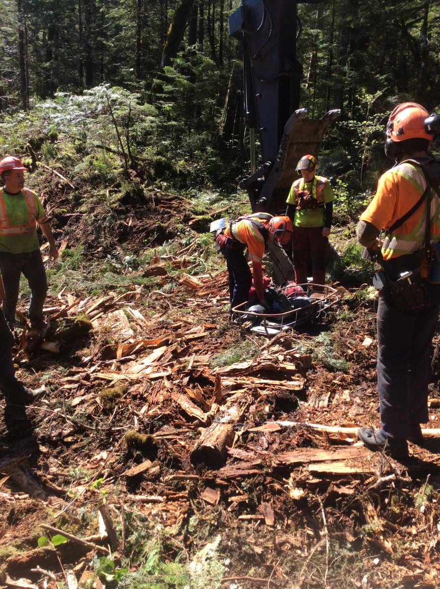 SibolaMtFalling's tweet photo. Our crew doing a mock stretcher drill #BCFalling #ForestSafety https://t.co/iKSsTwy1UR