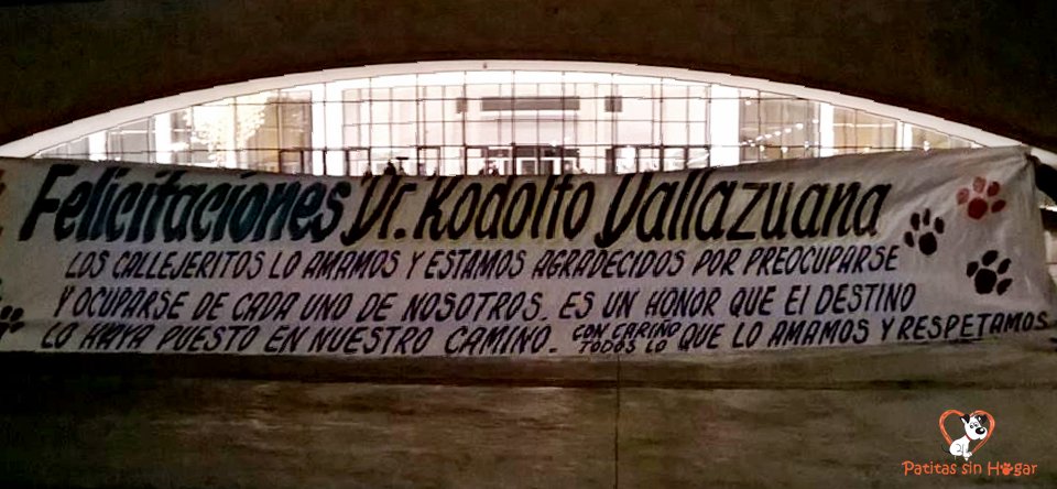 FundPatitas's tweet photo. Felicitamos y nos sentimos orgullos del Dr. Rodolfo Dallazuana por haber recibido tan noble y merecida distinción. GRACIAS!!! https://t.co/x4tZ8aI8Zx
