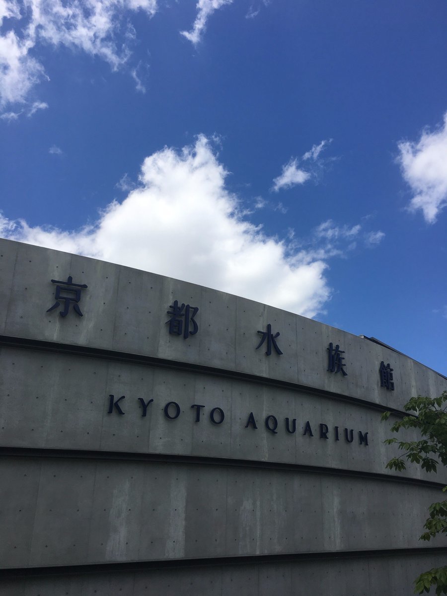 エムケイ石油 Maikoちゃん 京都観光 レンタサイクルで京都水族館へ行ってきました Mk石油の西本願寺前ssから自転車で5分程 サンショウウオがお出迎え 幻想的なクラゲやイルカショーもとっても楽しいですよ マスキングテープを買っちゃいました エムケイ石油 Maikoちゃん 京都観光 レンタサイクルで京都水族館へ行ってきました Mk石油の西本願寺前ssから自転車で5分程 サンショウウオがお出迎え 幻想的なクラゲやイルカショーもとっても楽しいですよ マスキングテープを買っちゃいました