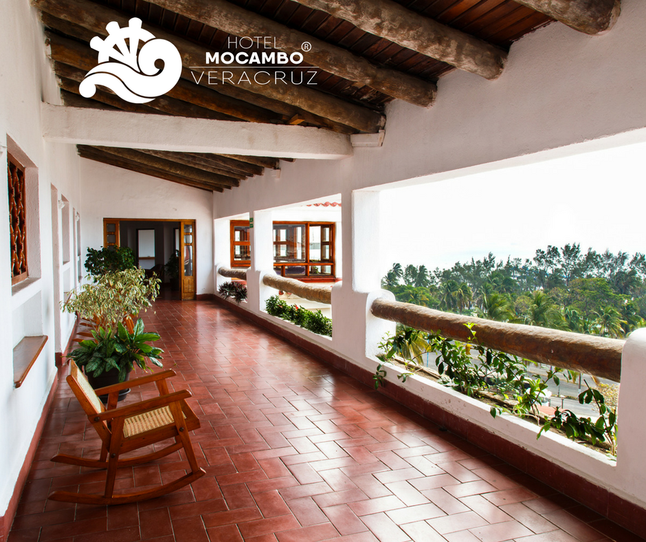 hotel_mocambo's tweet photo. Si no has apreciado la vista que se observa desde este sillón, no has conocido al 100% #Mocambo https://t.co/ssKezYxHhw