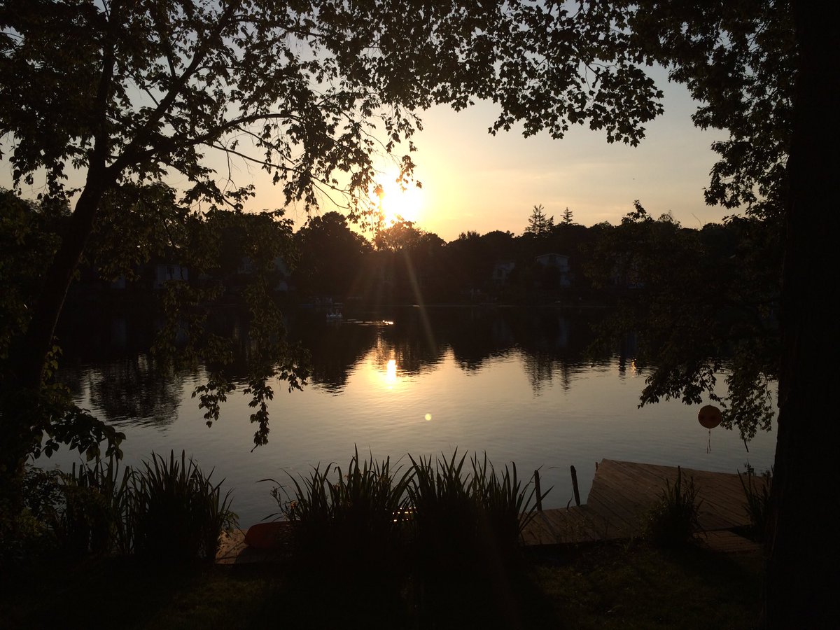 FadedFilter tweet media