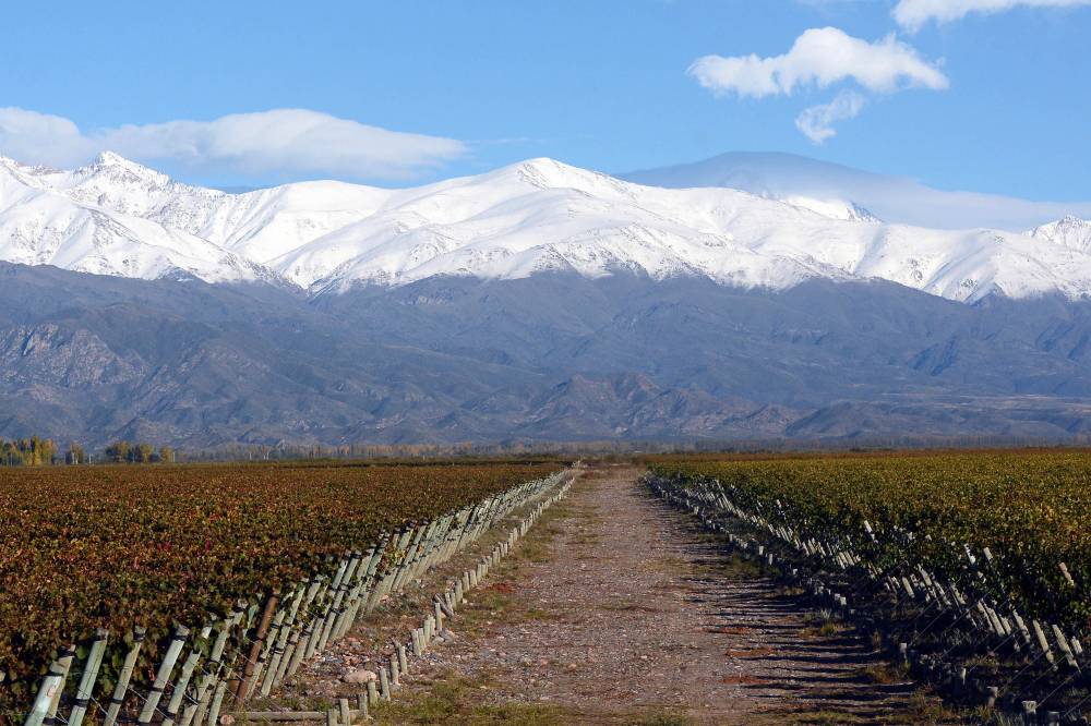 LosAndesDiario's tweet photo. Mendoza está entre los destinos favoritos del país para las vacaciones de invierno https://t.co/0VI1MdTaUG https://t.co/TBRr4Ic9NC
