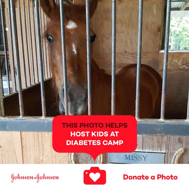 avcahill's tweet photo. Missy #AllenStables #jnj #donateaphoto #stopdiabetes https://t.co/fqo4rYiBVa https://t.co/CkuEfGZ262