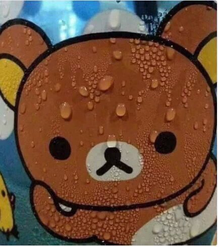 Ricardo Quevedo tweet media