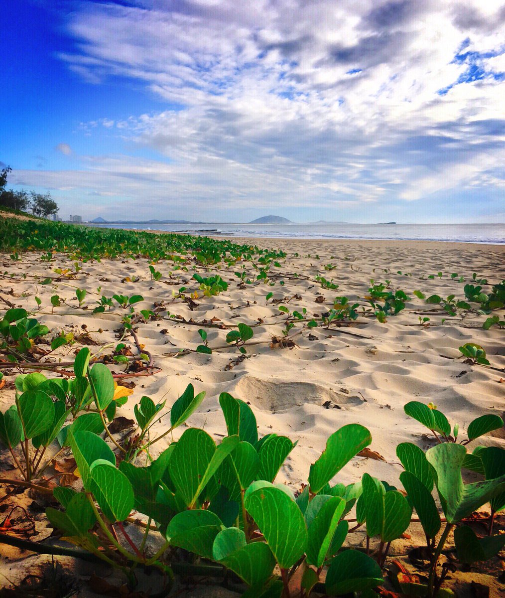 SkiAnita's tweet photo. Here's some paradise to add to your mid-week journey 🍃💦 Mooloolaba Beach, @sunshinecoastoz @Queensland https://t.co/efBZD8N4WS