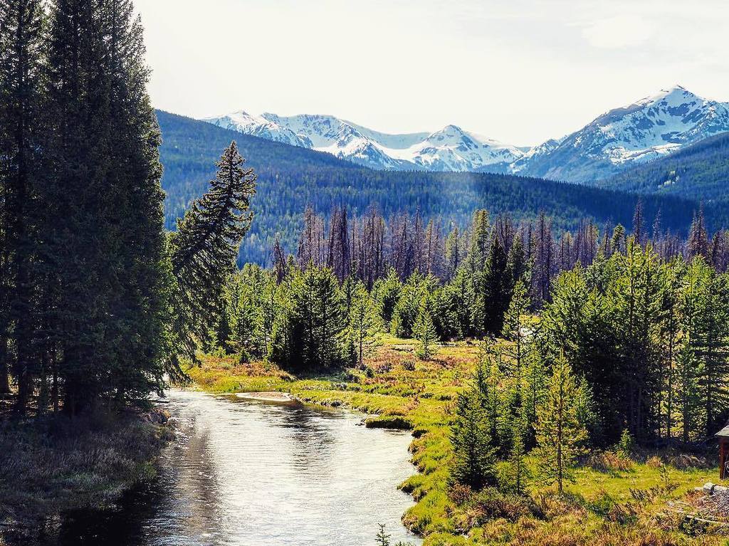 PlayWinterPark's tweet photo. Monday Mountain Motivation! Start making plans to escape the city heat and head to Winter Park, Colorado! #WinterP… https://t.co/XbLRh26KTA https://t.co/zvB491vz4l