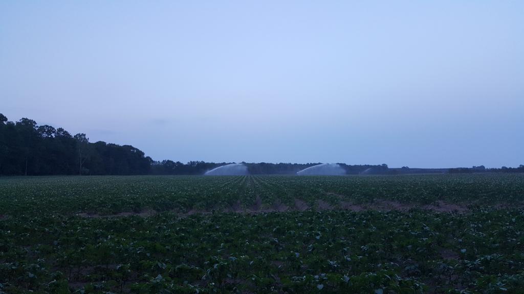 AnselmL's tweet image. Sun's out, guns out!! #GoodbyeFamily #GoodbyeSleep #Drought17??