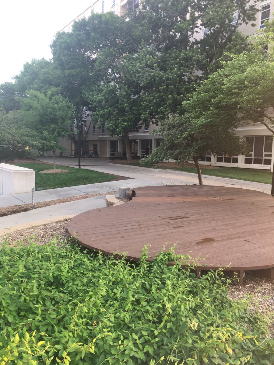OutgoingO's tweet photo. @NewBluejays #SPOrange #Squirrel https://t.co/MF7VjGNuIL