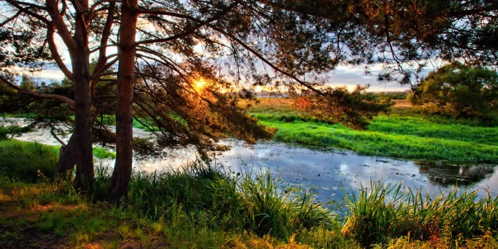 landthink's tweet photo. "How to Buy Land for the Cost of a Hunt Lease" by Daniel Hautamaki with Southeastern Land Group. Read more: https://t.co/ntAFGG6sBZ https://t.co/BEWTyy7mIW